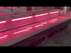 Φρέσκο ψυγείο κρέατος Deli ψαριών ανοξείδωτου για το κατάστημα χασάπηδων