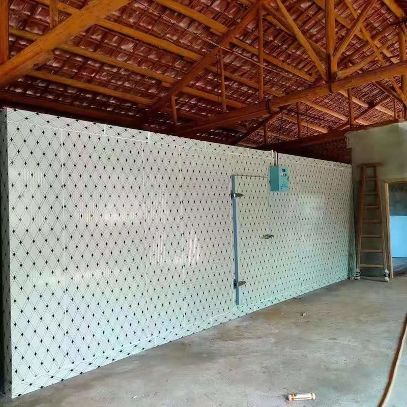 Ψυχρό αποθηκευτικό δωμάτιο Walk-In του ψύκτη Walk-In ψυγείο με σύστημα ψύξης