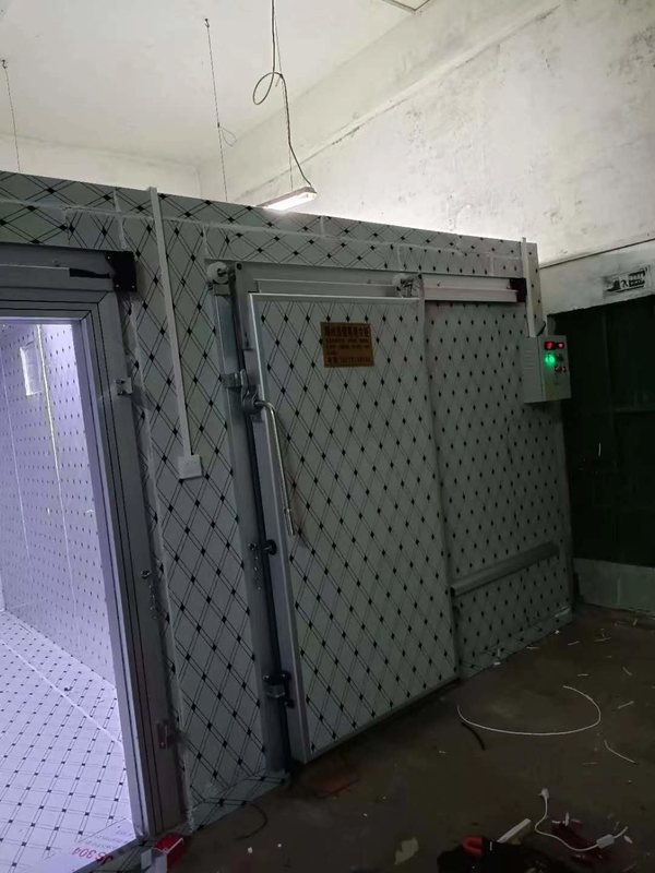 Προσαρμοσμένη αποθήκη ψύξης για ψύξη ψαριών και κρέατος με αυτόματο σύστημα ελέγχου