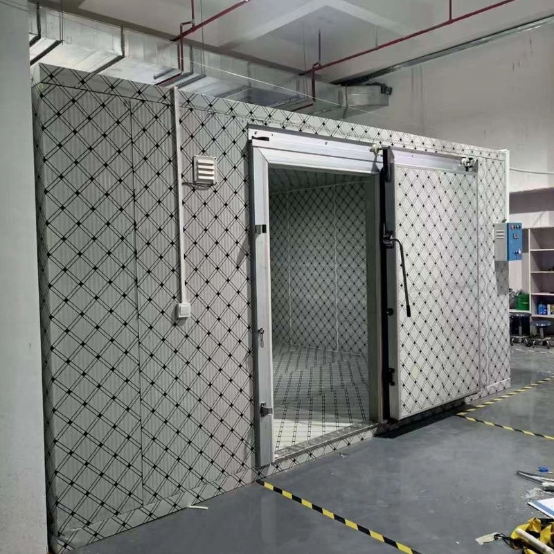 Ψυχρό αποθηκευτικό δωμάτιο Walk-In του ψύκτη Walk-In ψυγείο με σύστημα ψύξης