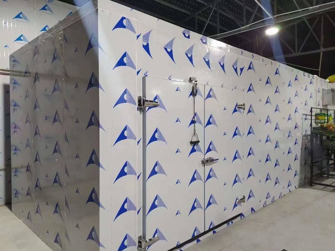 Πίνακες PU Ψυχρό αποθηκευτικό χώρο Walk-In Freezer Μονουλικές ψυκτικές αίθουσες με διαφορετική θερμοκρασία