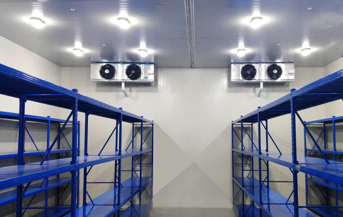 Πίνακες PU Ψυχρό αποθηκευτικό χώρο Walk-In Freezer Μονουλικές ψυκτικές αίθουσες με διαφορετική θερμοκρασία