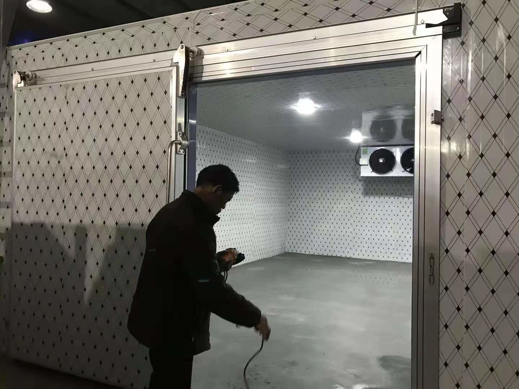 Ψηφιακός ηλεκτρονικός έλεγχος θερμοκρασίας Ψυχρό αποθηκευτικό χώρο για λαχανικά Φρούτα Κρέατα και ψάρια Προσαρμόσιμο