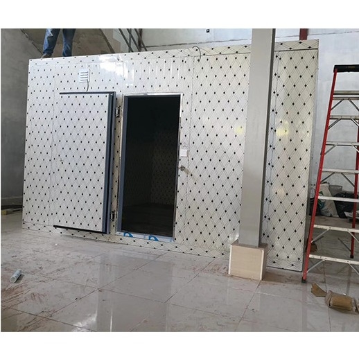 Πίνακες PU Ψυχρό αποθηκευτικό χώρο Walk-In Freezer Μονουλικές ψυκτικές αίθουσες με διαφορετική θερμοκρασία