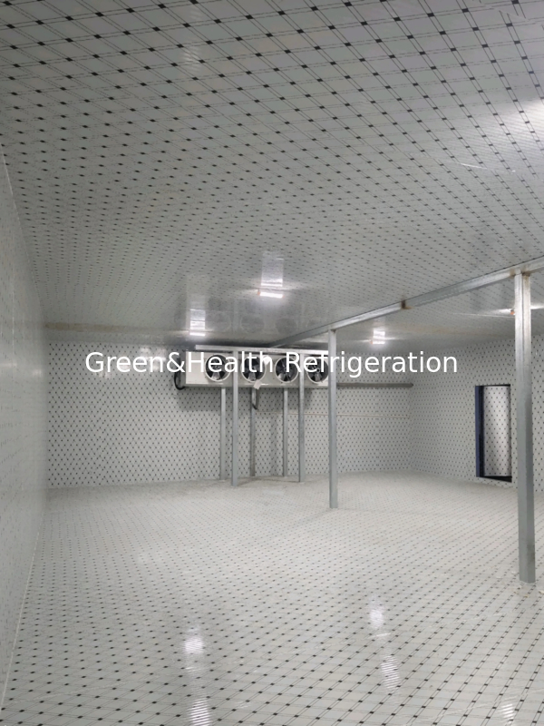 Προσαρμόσιμο Ψυκτικό Θάλαμο με Σκληρό Πολυουρεθάνιο και Αυτόματη Ηλεκτρική Απόψυξη για Βέλτιστη Διατήρηση Τροφίμων