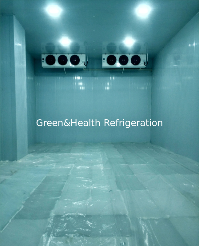 Διαθέσιμος Προσαρμόσιμος Θάλαμος Ψύξης σε Διάφορα Μεγέθη και Εύρη Θερμοκρασίας για τις Ατομικές σας Απαιτήσεις