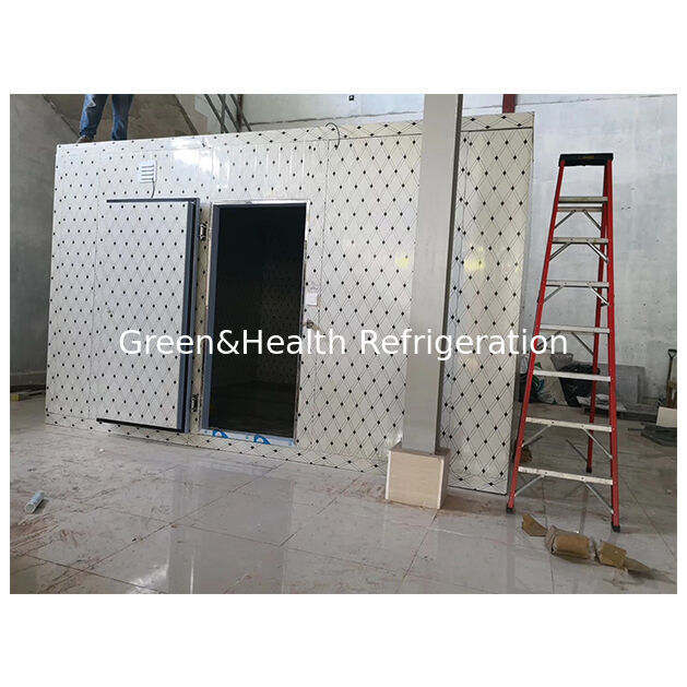 Ψυχρός θάλαμος αποθήκευσης από σκληρό πολυουρεθάνη με ψηφιακό ηλεκτρονικό έλεγχο θερμοκρασίας και αυτόματη ηλεκτρική απόψυξη