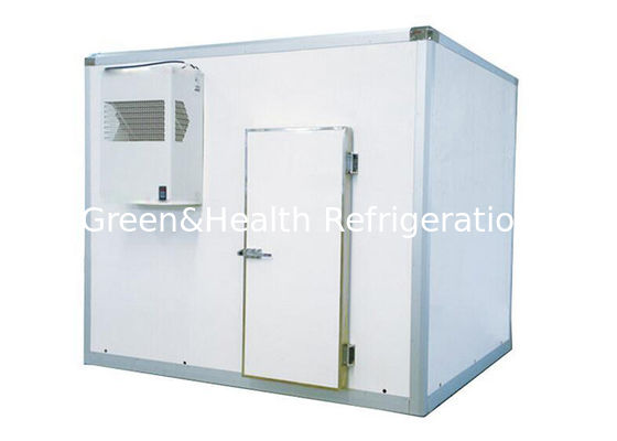 Εμπορικό σούπερ μάρκετ Ψυγείο Αποθήκευσης Θάλασσας / βοδινού κρέατος κατάψυξη WalK στο ψυγείο