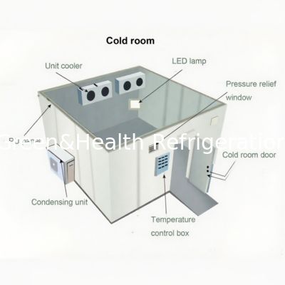 Customizable Cold Storage Room for Your Temperature-Controlled Storage