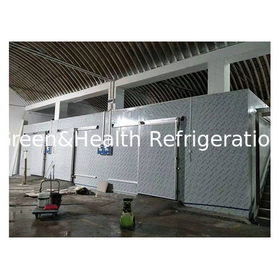 Μεγάλο εμπορικό σούπερ μάρκετ Φρούτα και λαχανικά Παγωμένη και ψυγεία Αποθήκευση Ψυχρή αποθήκευση