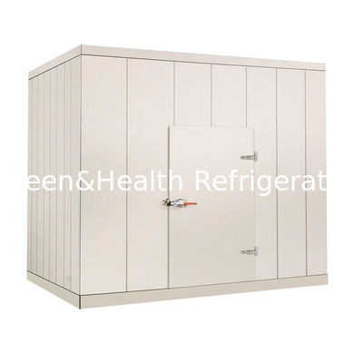 220V / 380V εμπορικός περίπατος στο πιό ψυχρό δωμάτιο για τα φυτικά θαλασσινά κρέατος