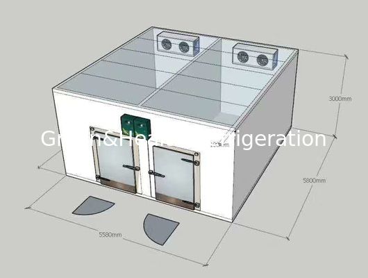 Περίπατος στα διπλά δοχεία ψύξης Combo θερμοκρασίας ψυκτήρων/το κρύο δωμάτιο